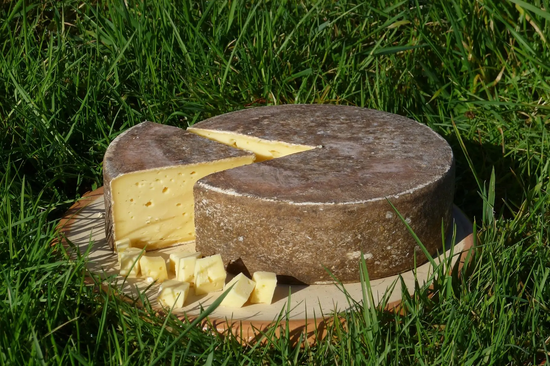 refrain jeune entier