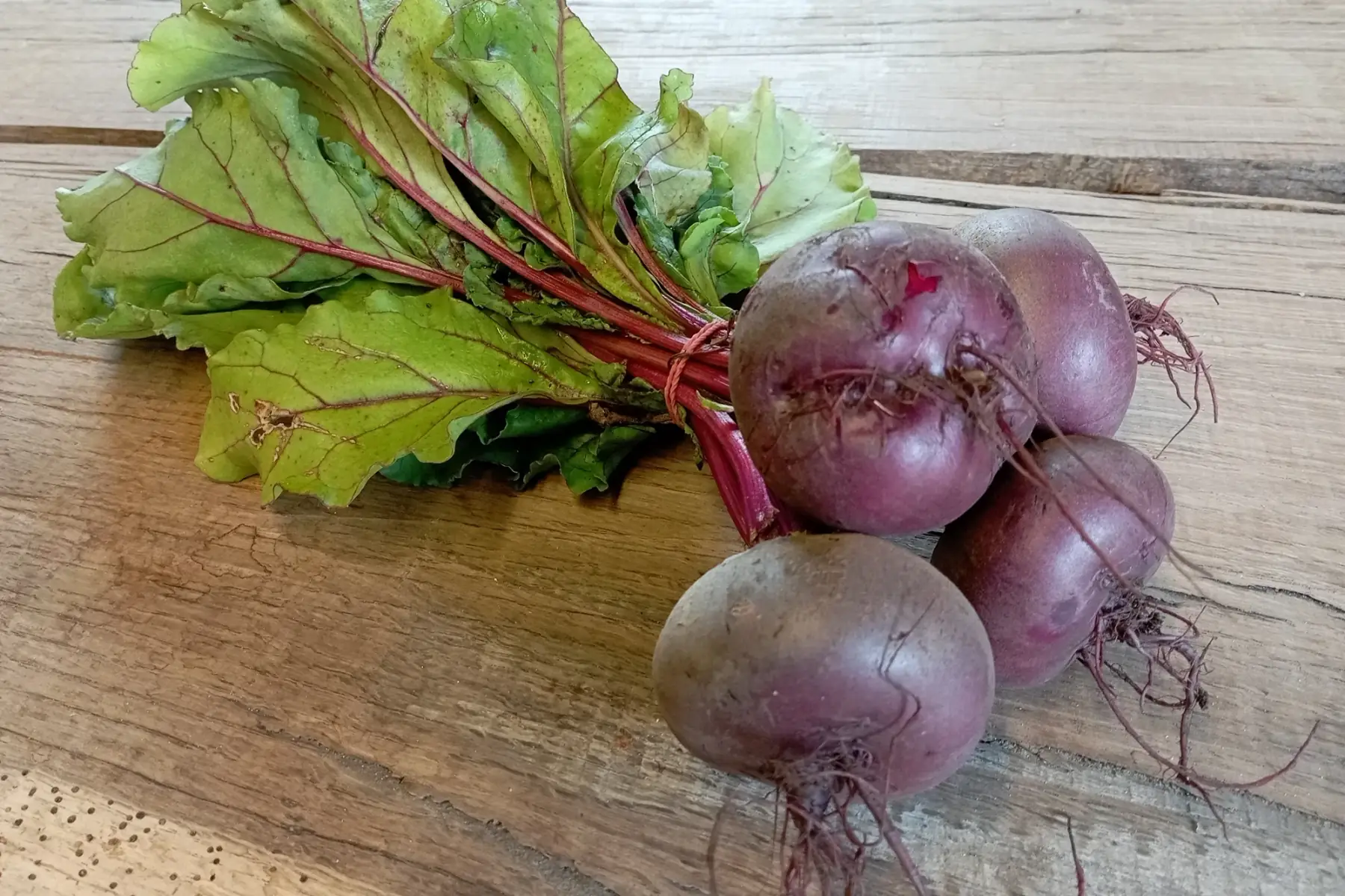 betteraves en botte