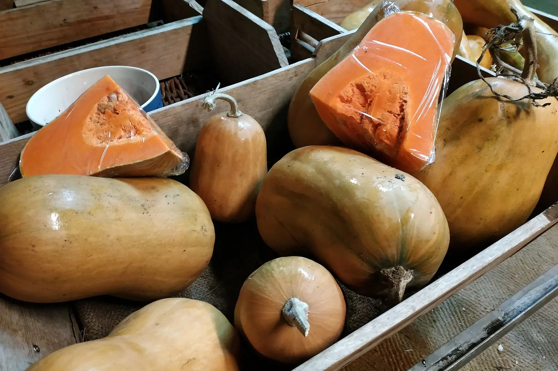 SARL Jardin Petit Rond