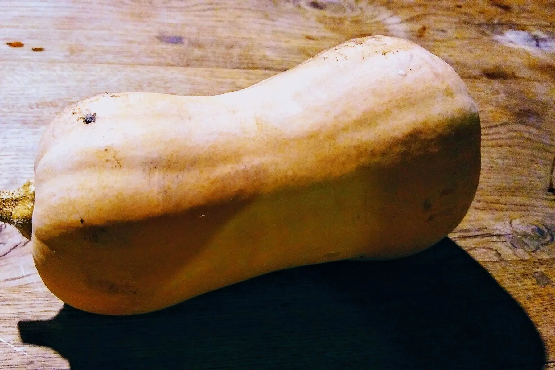 butternut