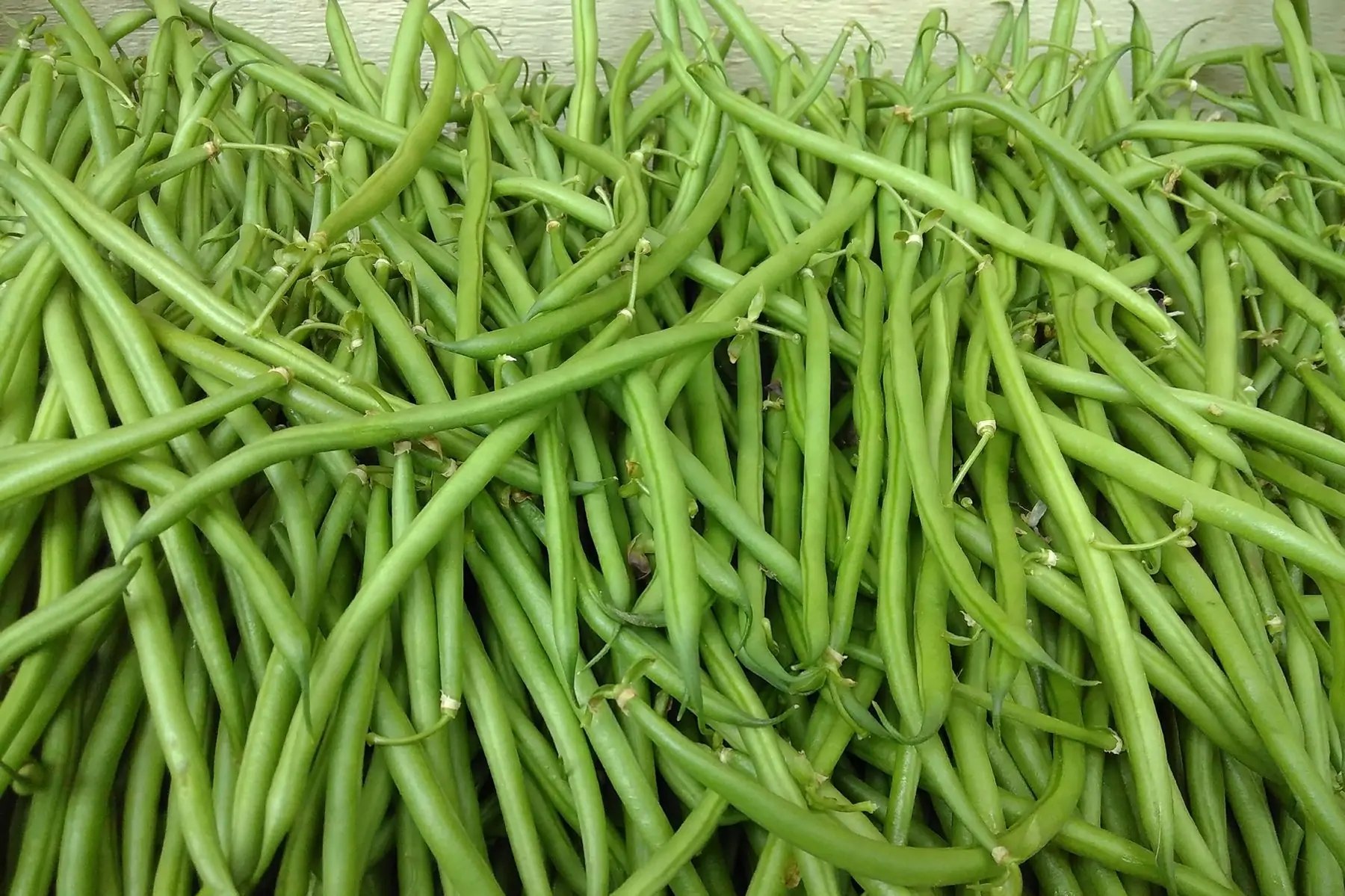 haricot verts