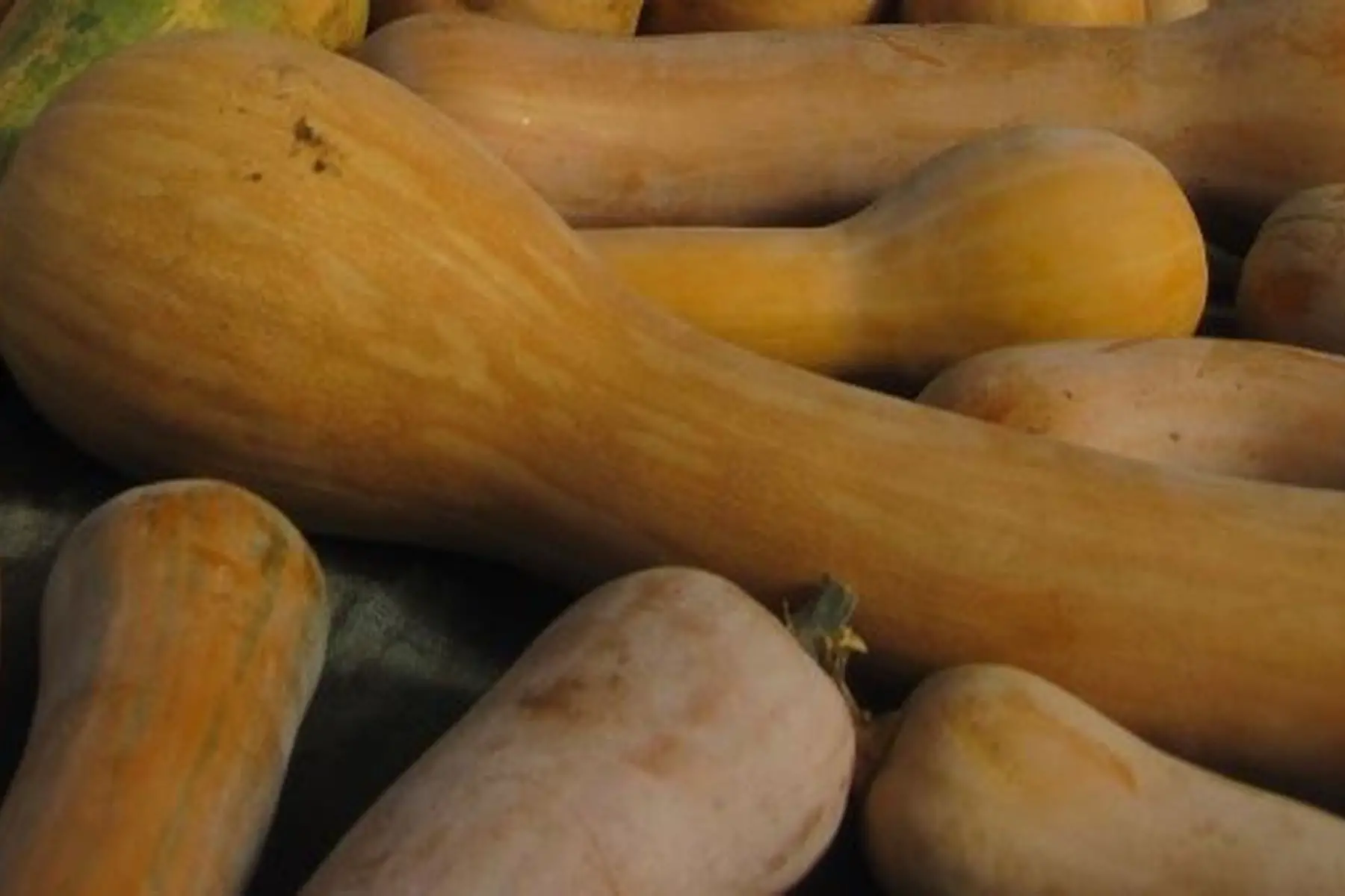 Les Champs du Verdet