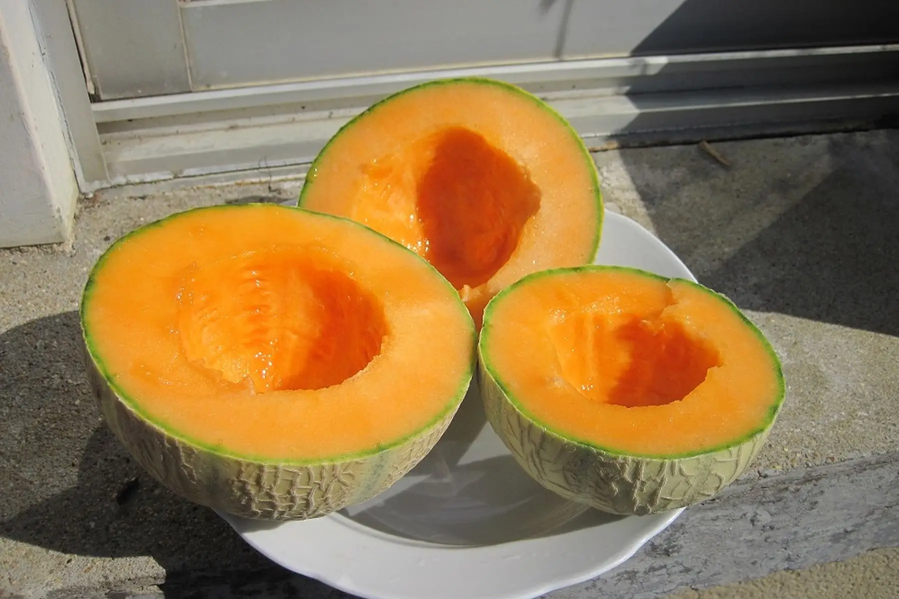 melon