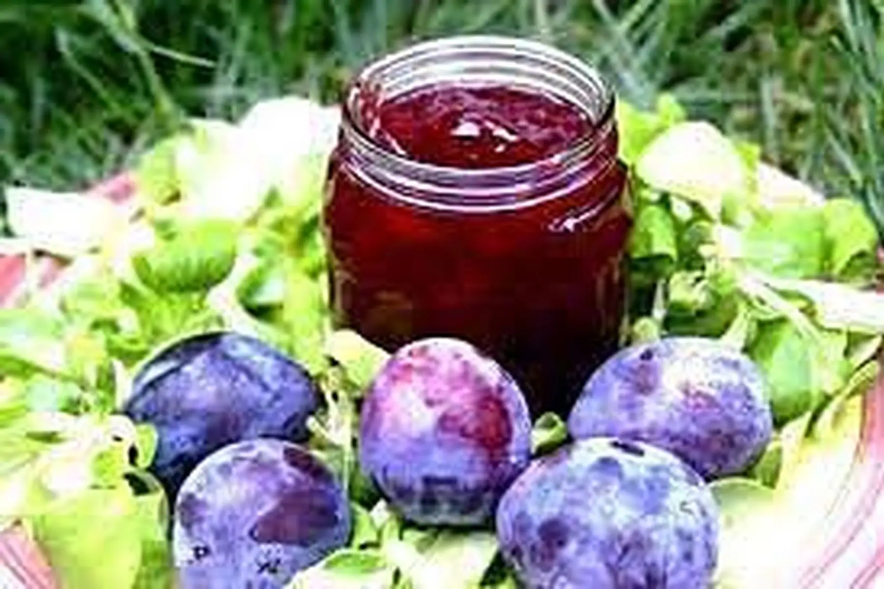 confiture de prune noirs