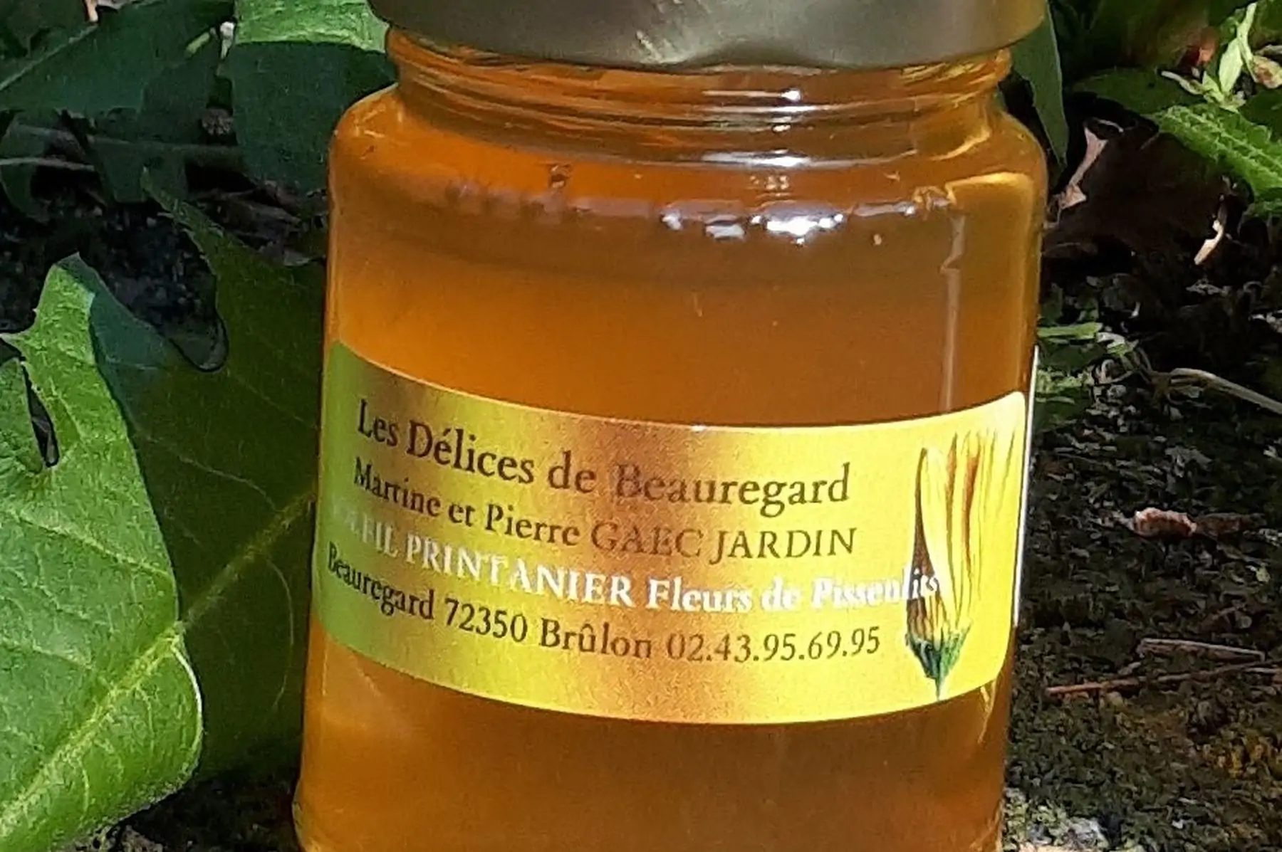 gelée de pissenlit