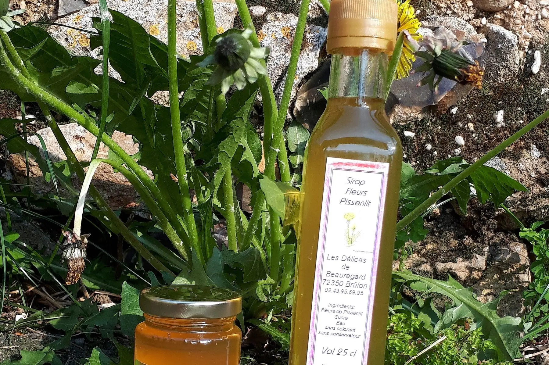 sirop de fleurs de pissenlit