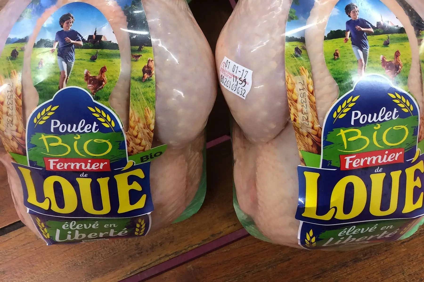 poulets de loué bio