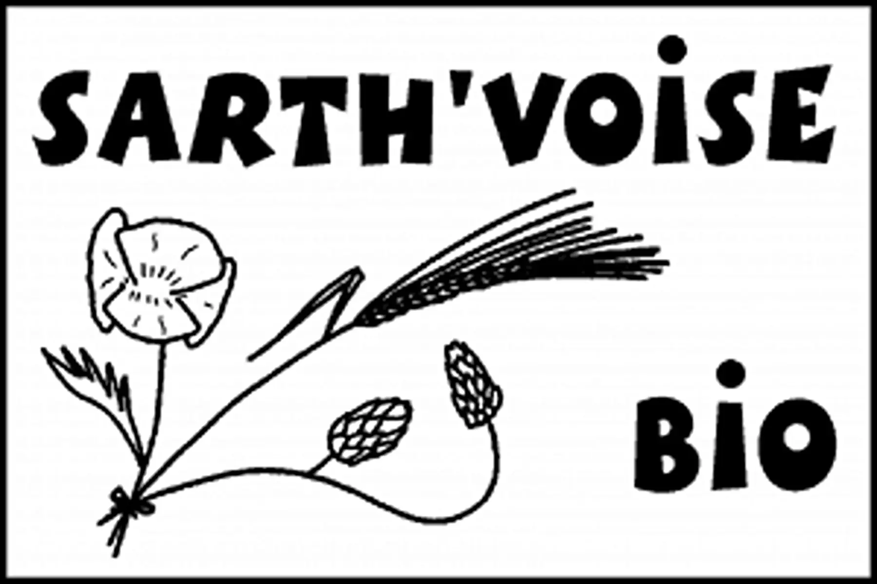 bière sarth'voise bio brune