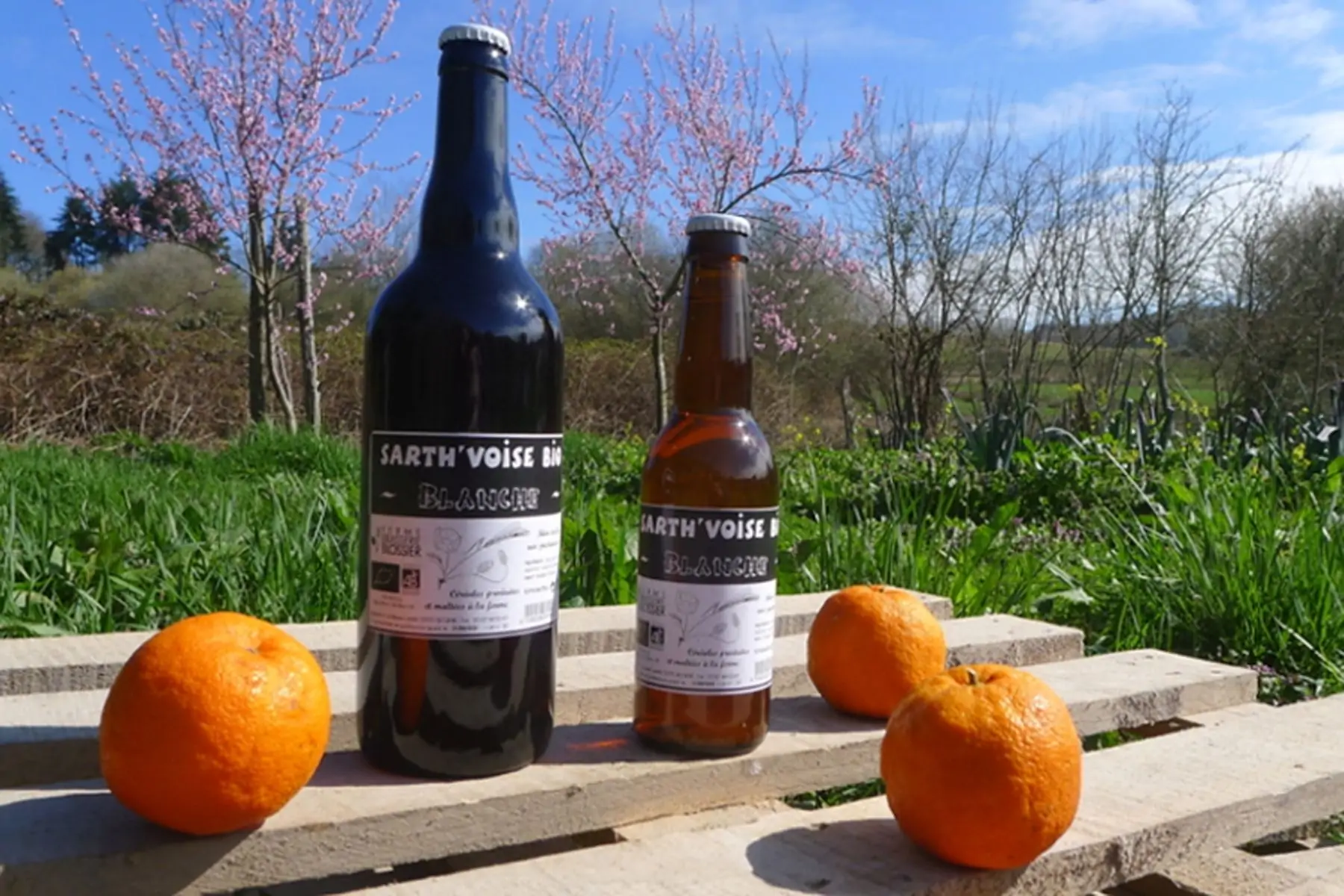 bière sarth'voise bio blanche