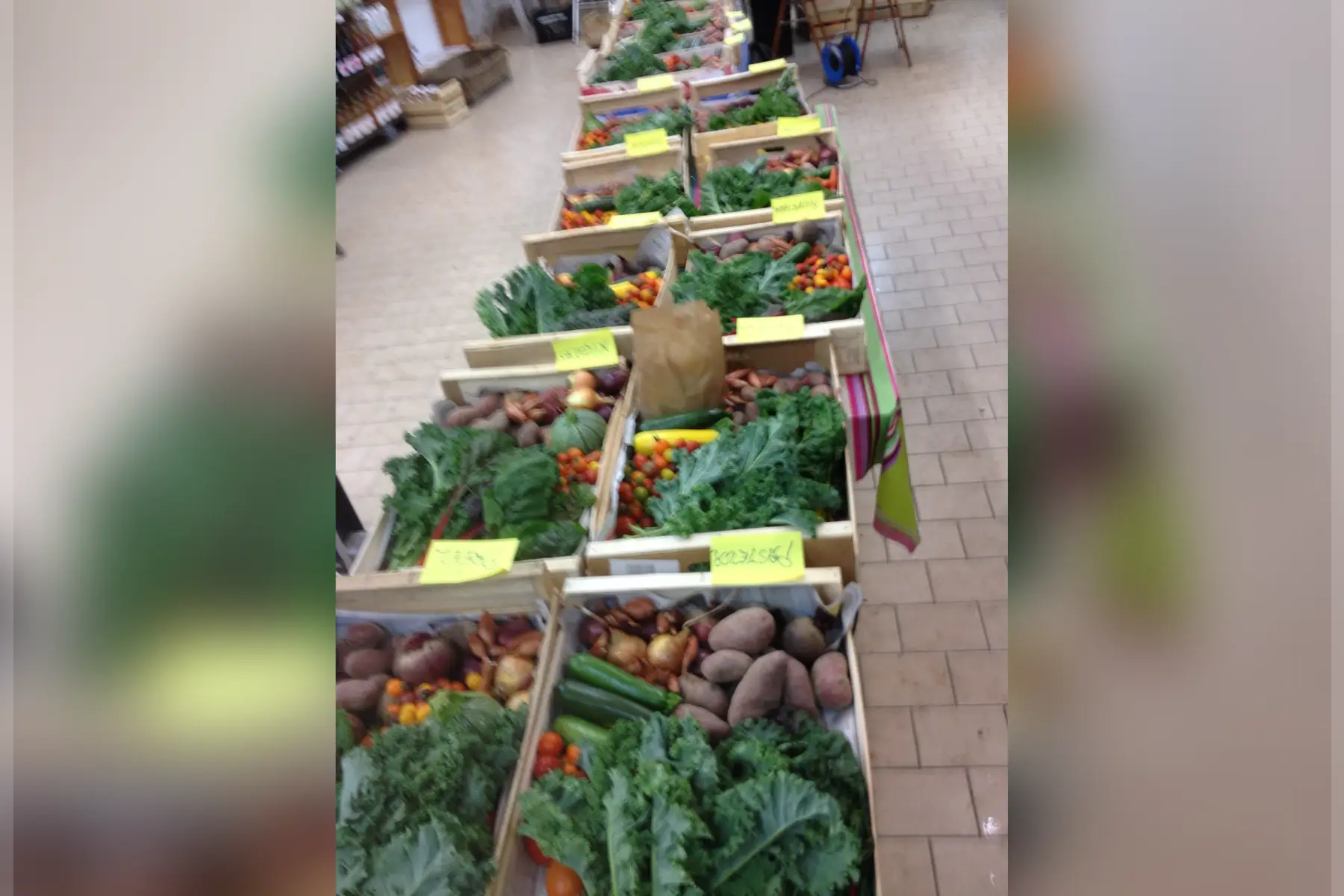 le panier de saison 20€