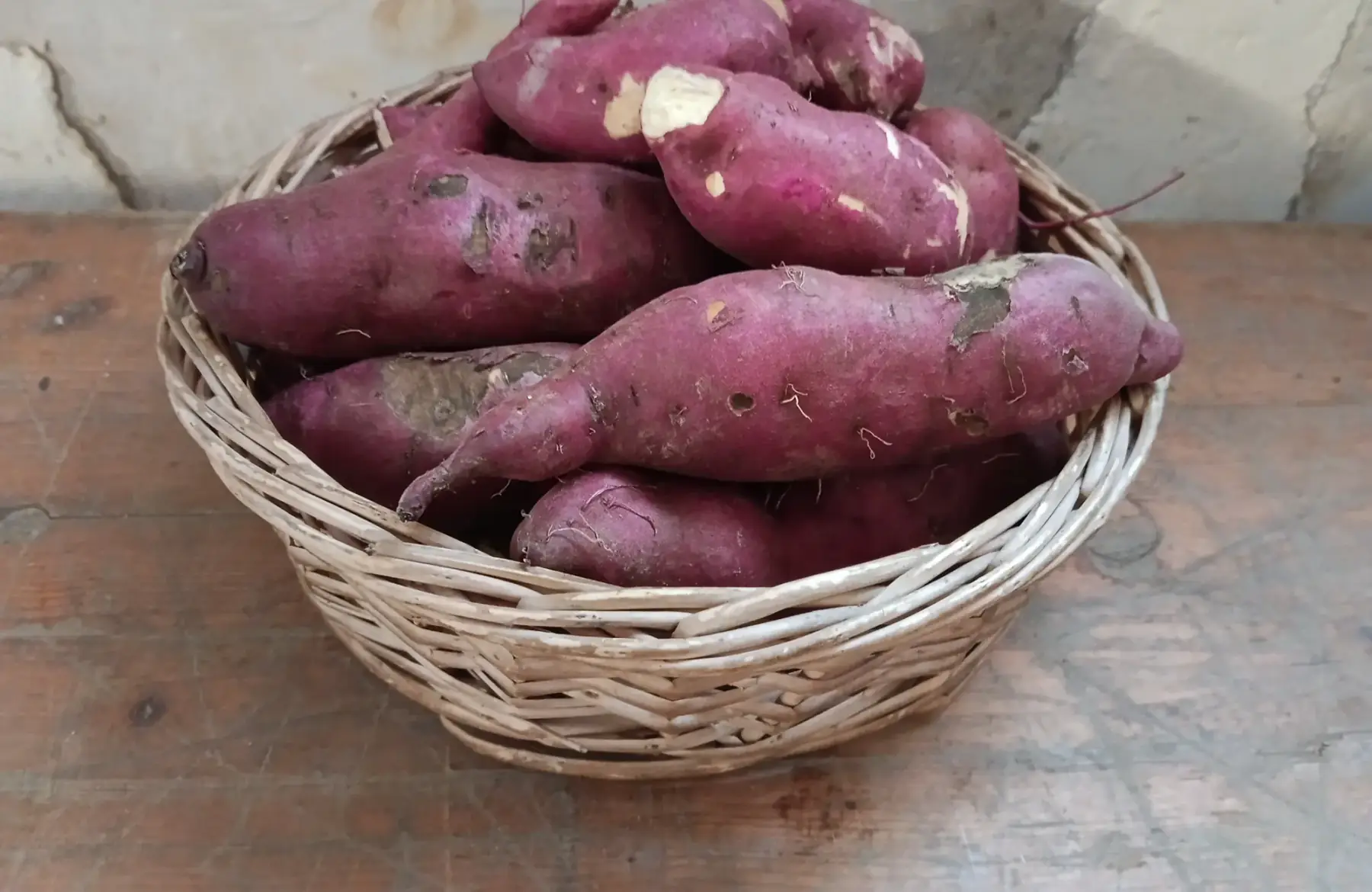 Patate douce chair blanche