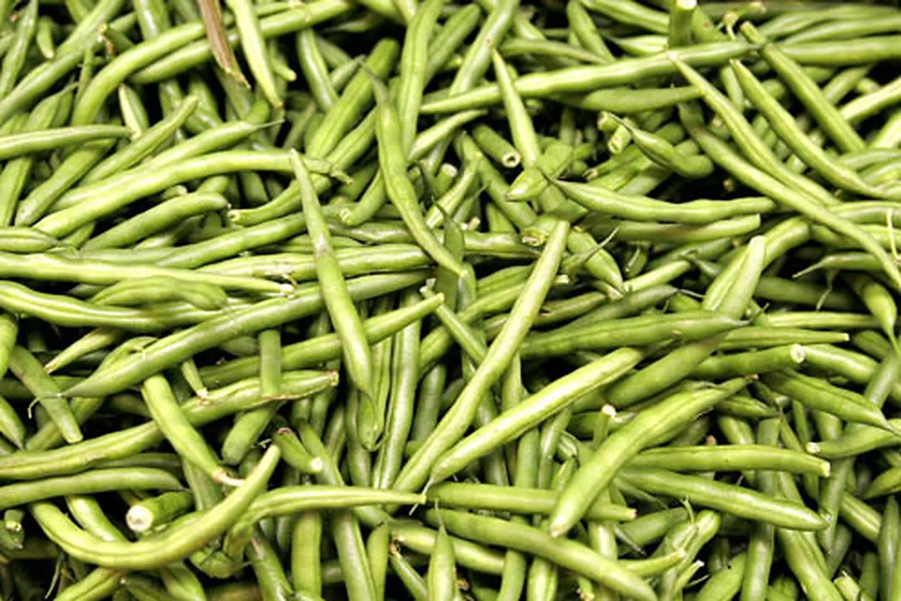 haricot vert sans fil