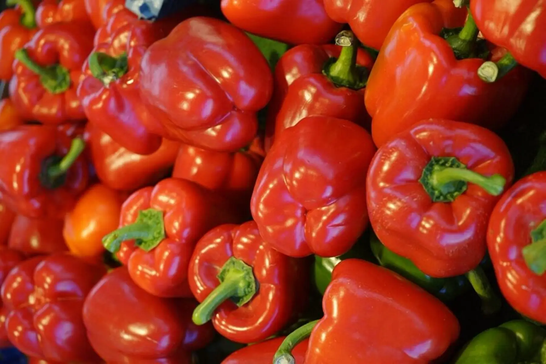 Poivron rouge