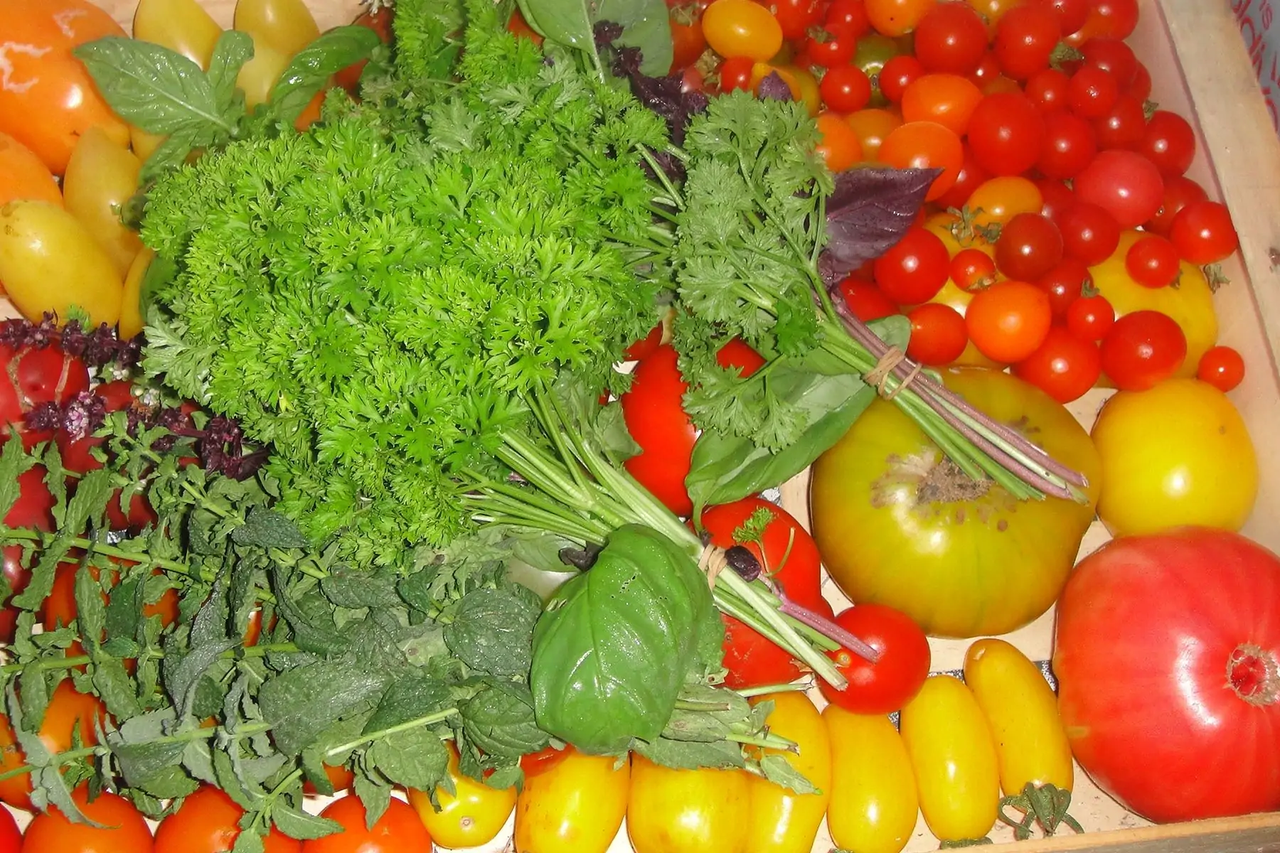 le panier de saison 16€