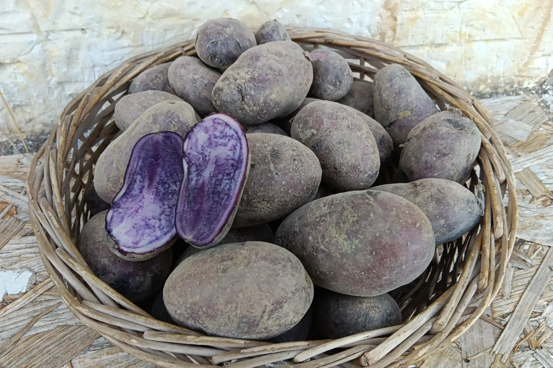 Pomme de terre violette