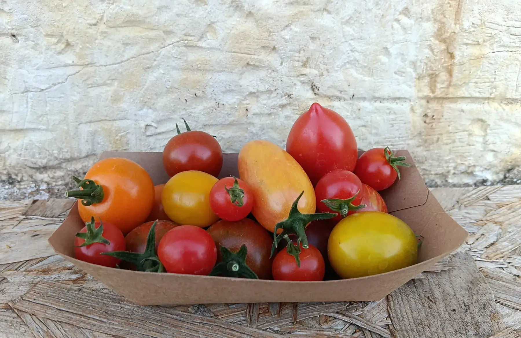 Tomate cerise couleur