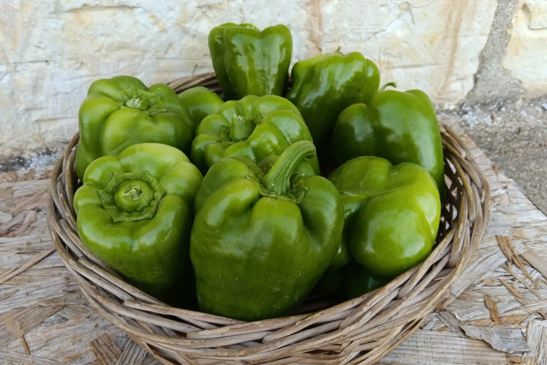 Poivron vert