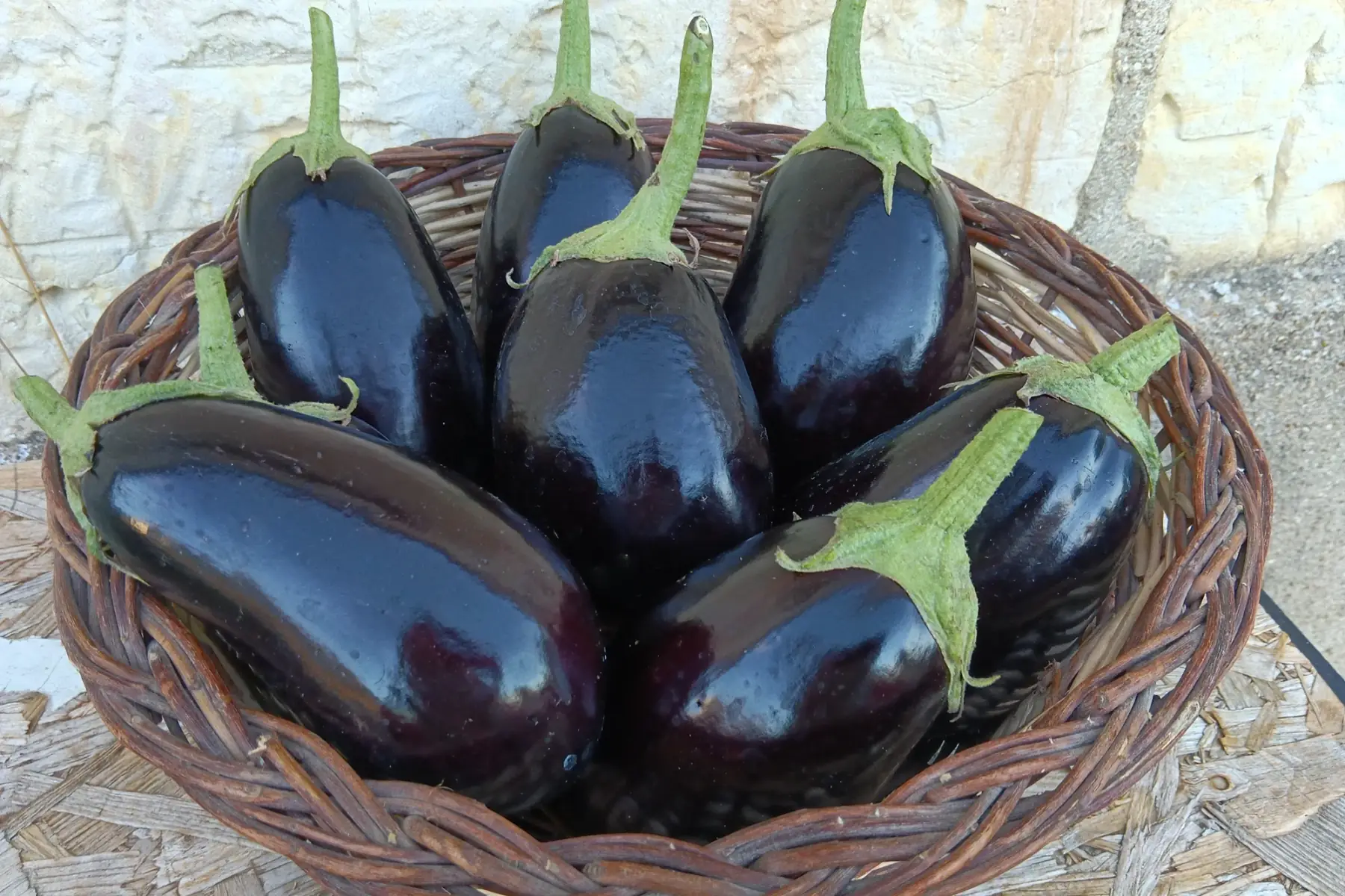 Aubergine Classique