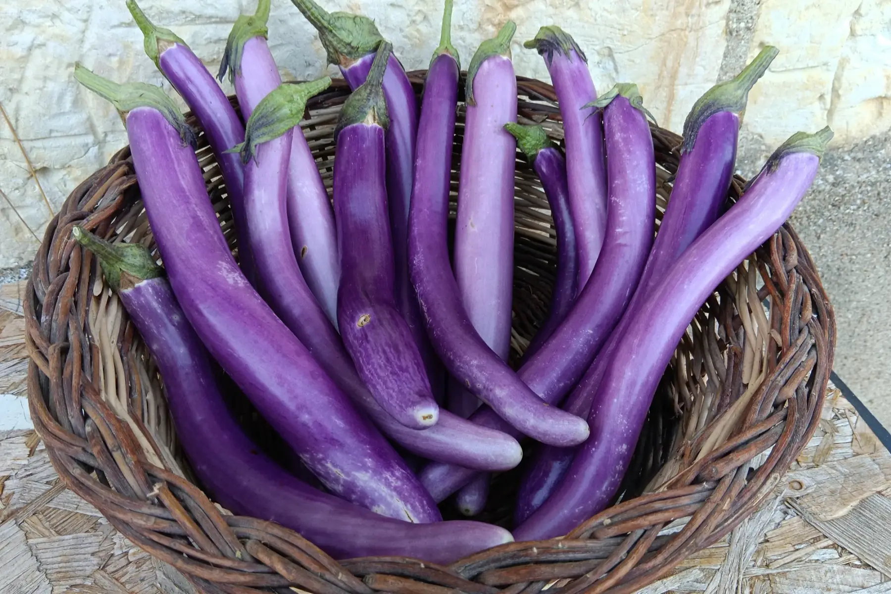Aubergine japonaise