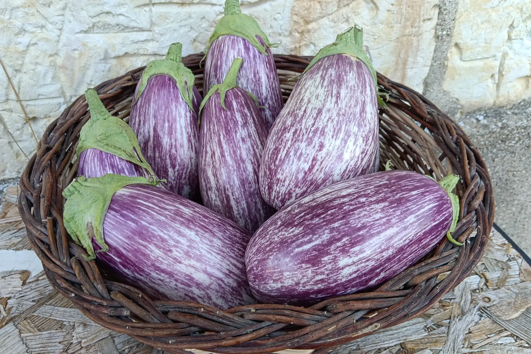 Aubergine Striée