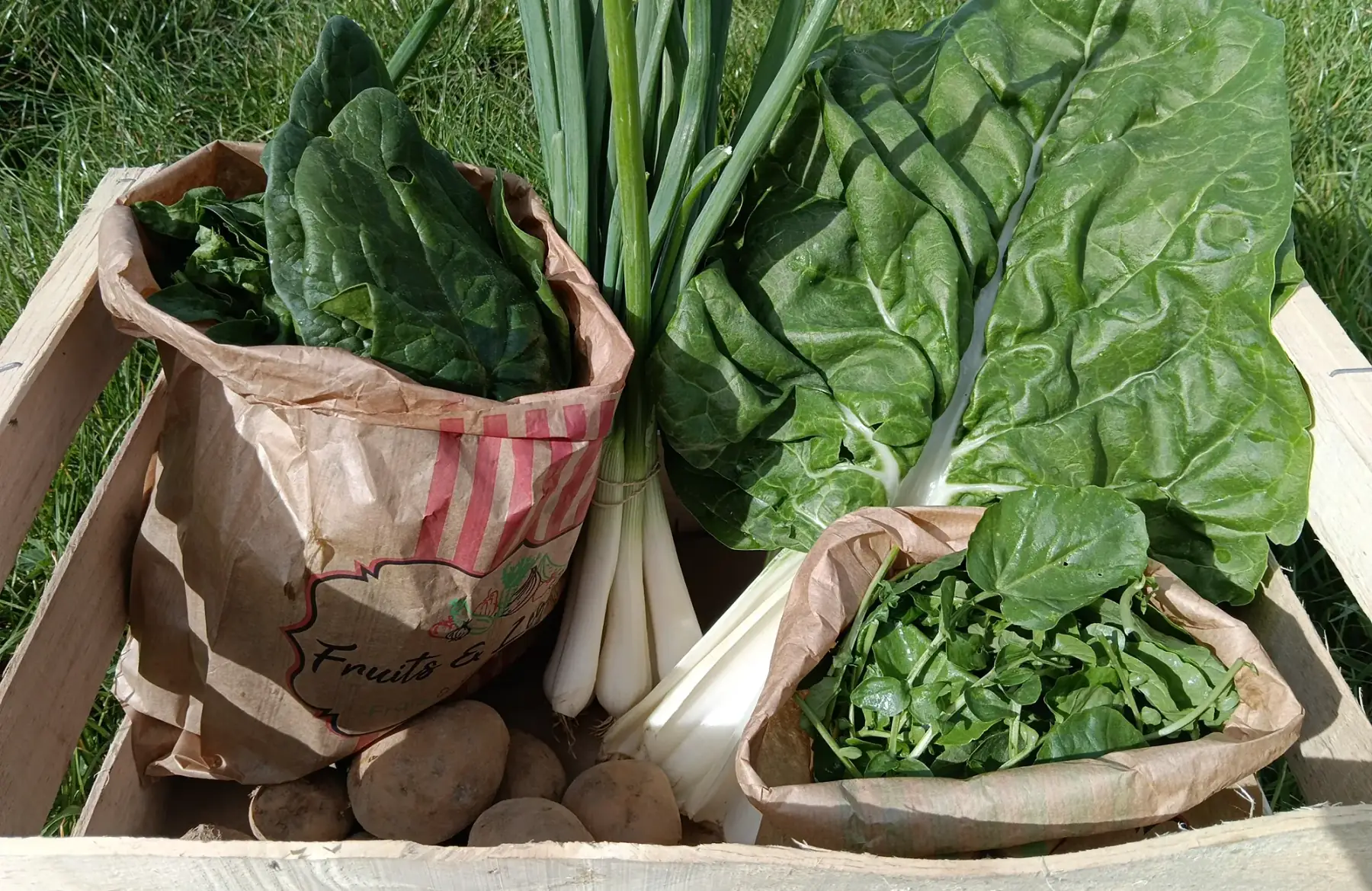 le panier de saison 20€