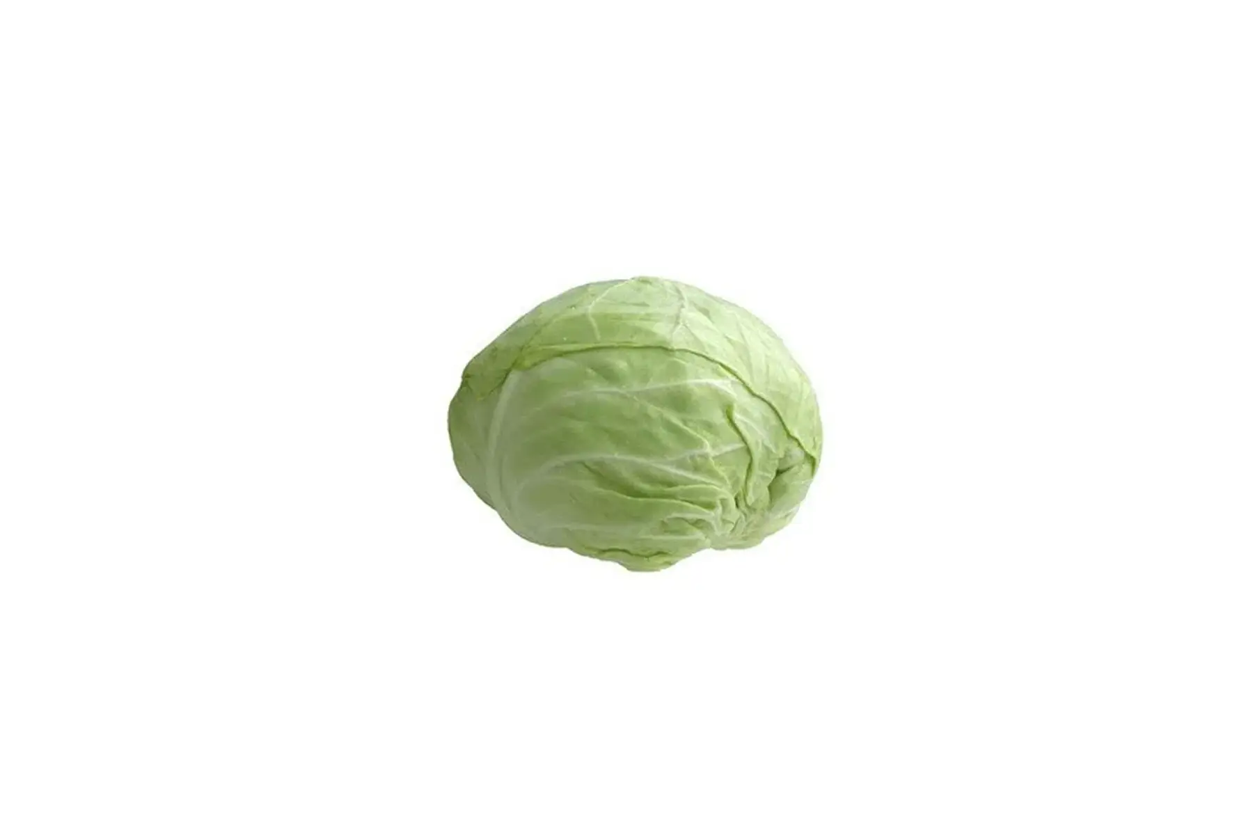 chou pommé blanc