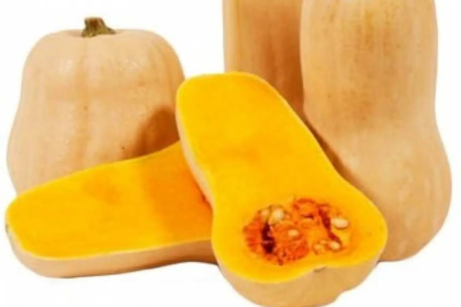 courge butternut