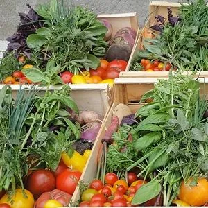 madame sandra vallon