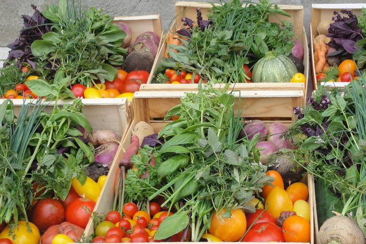 le panier de saison 15€