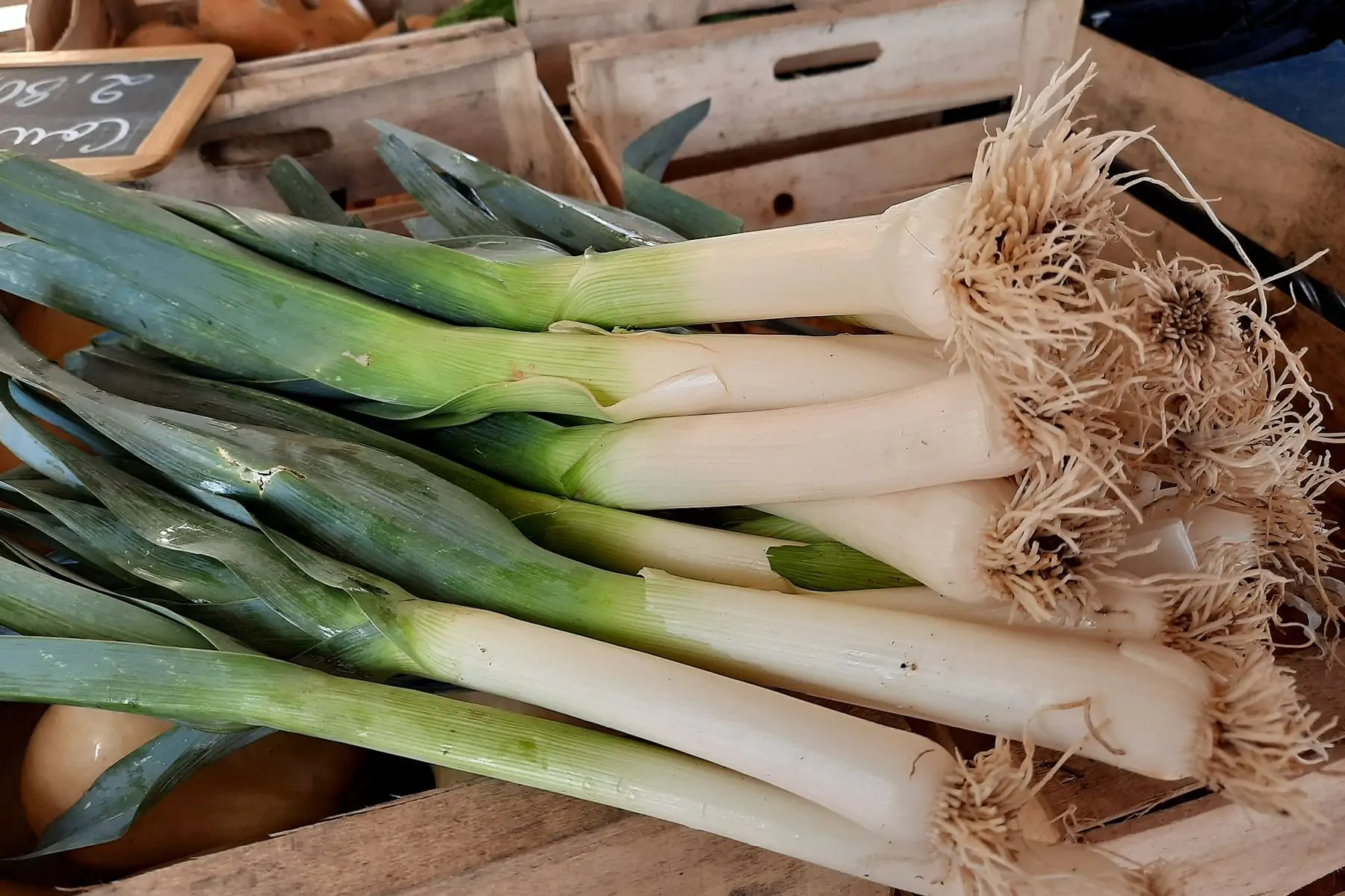 Association des amis de Notre Dame du Chène