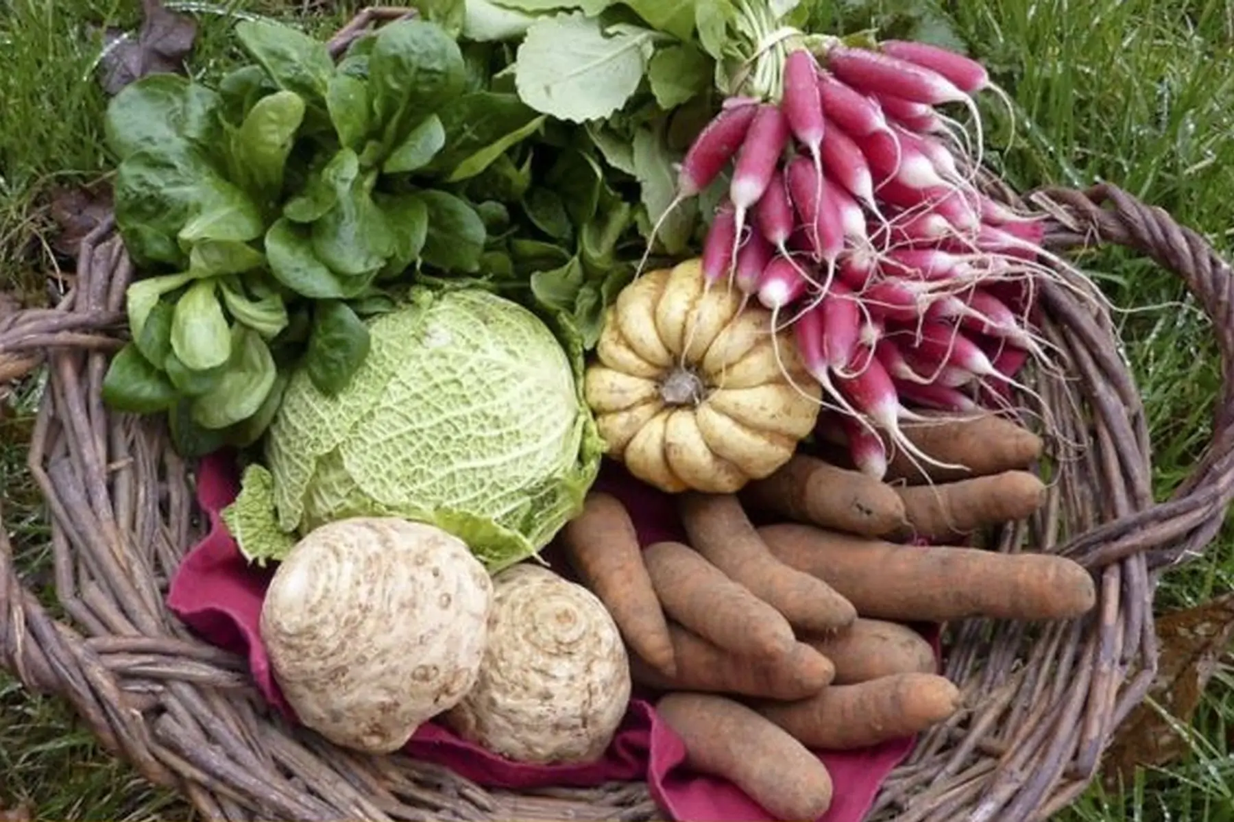 grand panier légumes du 3 et 6 novembre 2021