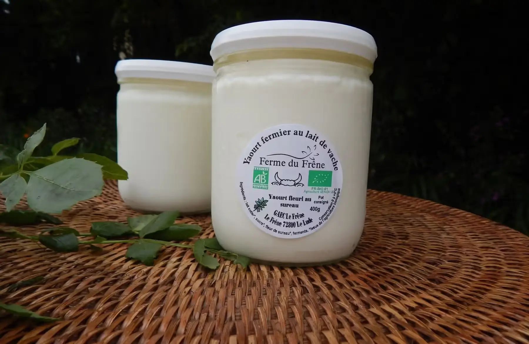 yaourt au sureau