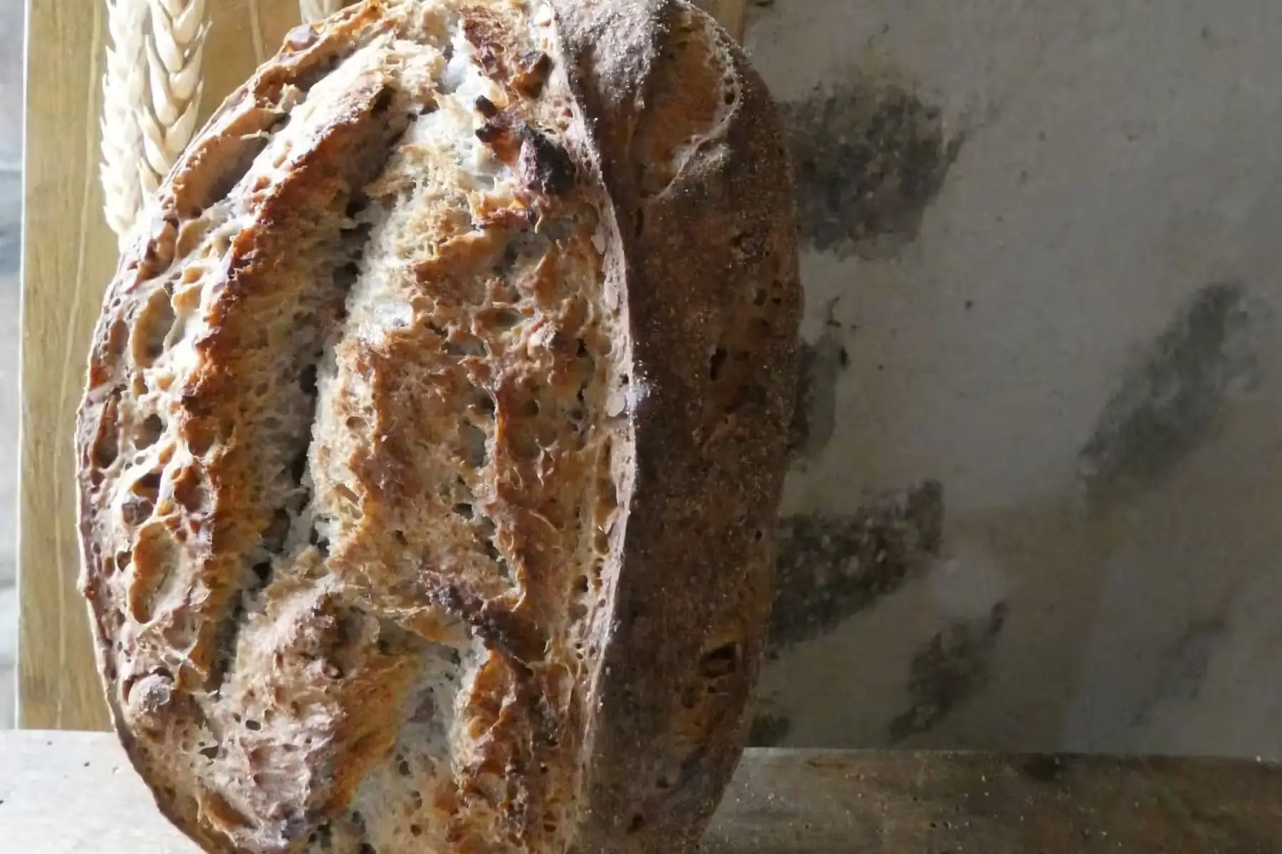 noisettes grillées 500gr