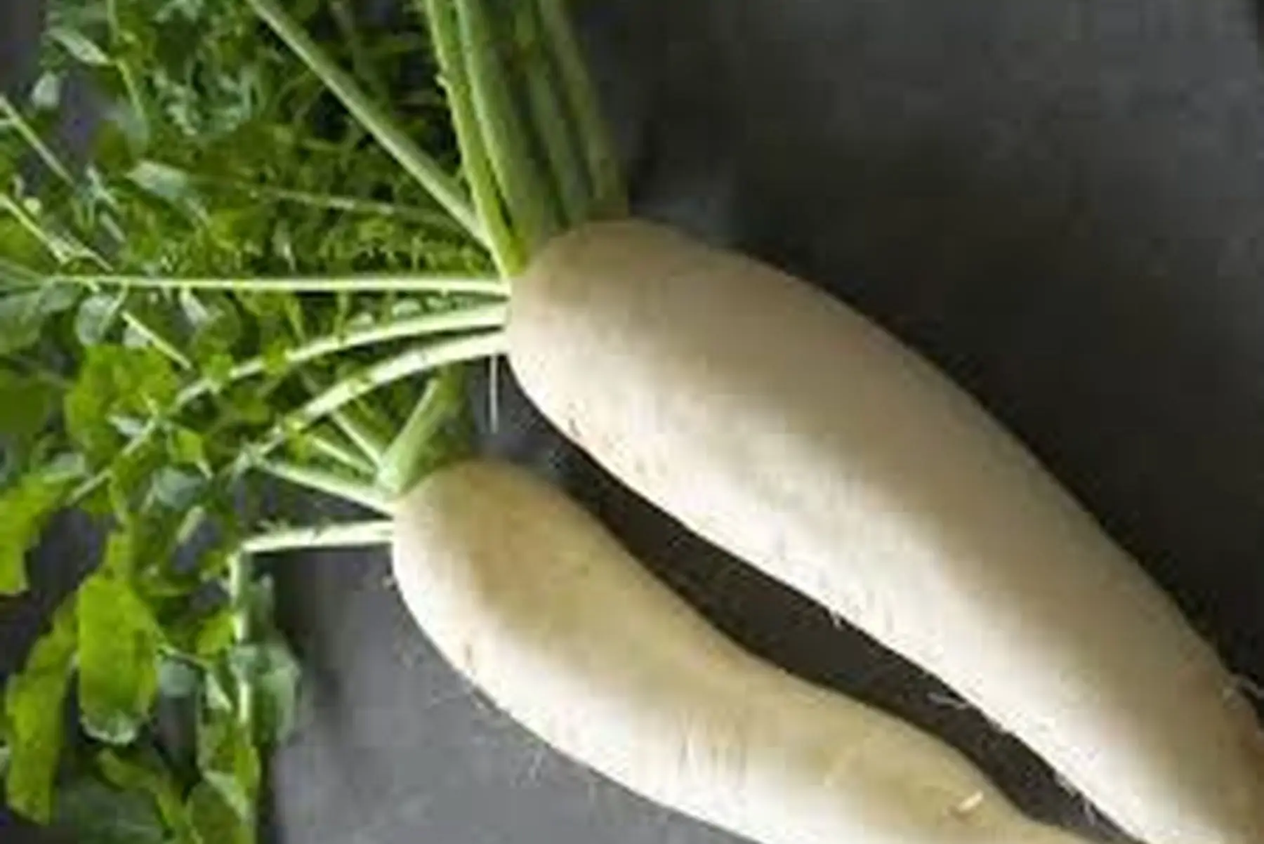 le jardin de la faverie