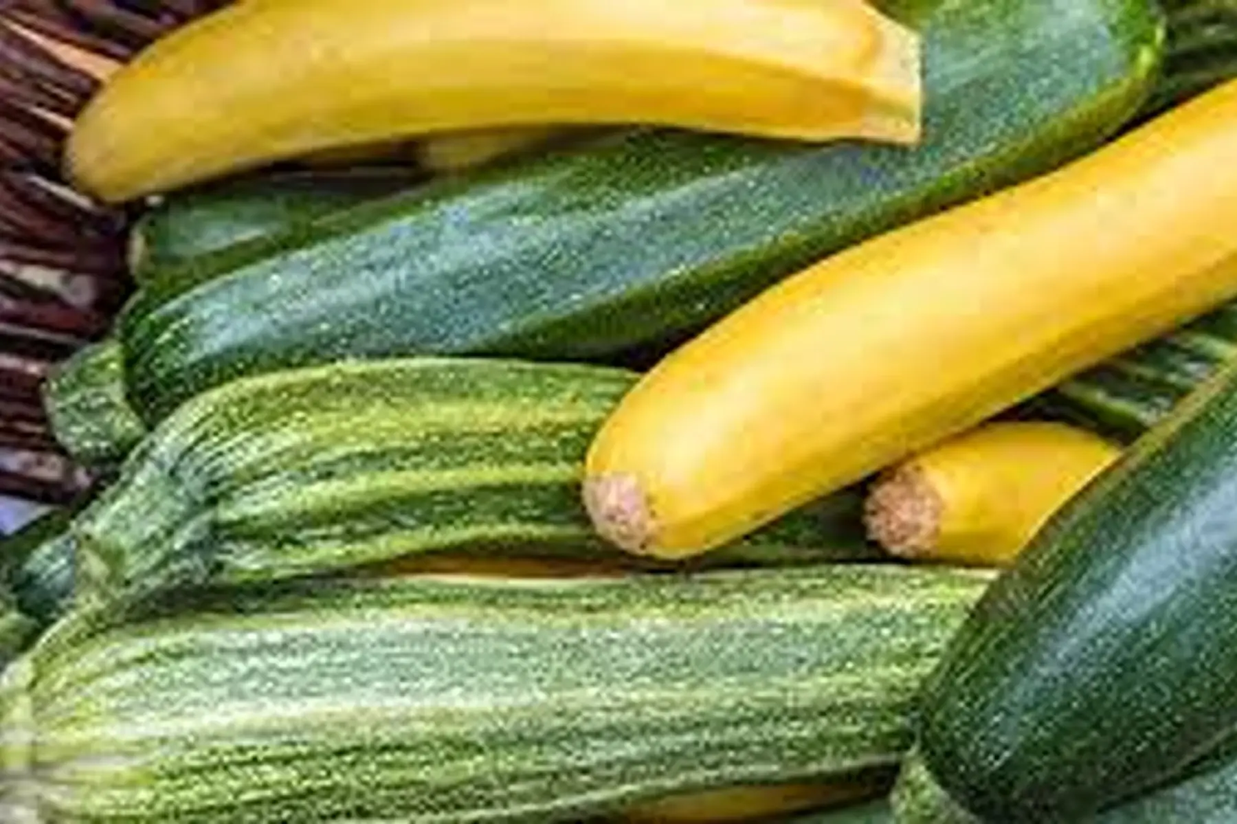 courgettes longues vertes ou jaunes