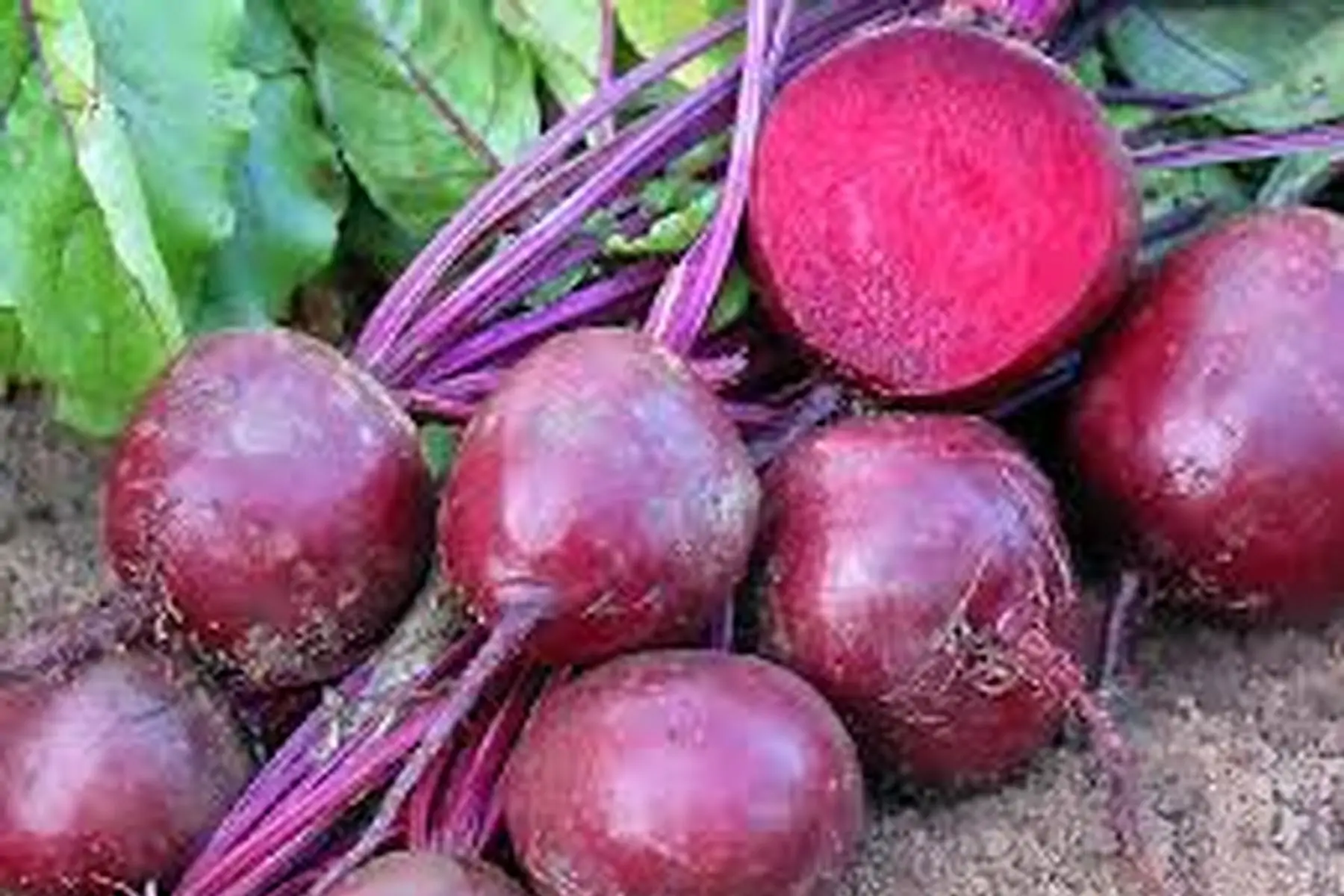 betterave rouge crue