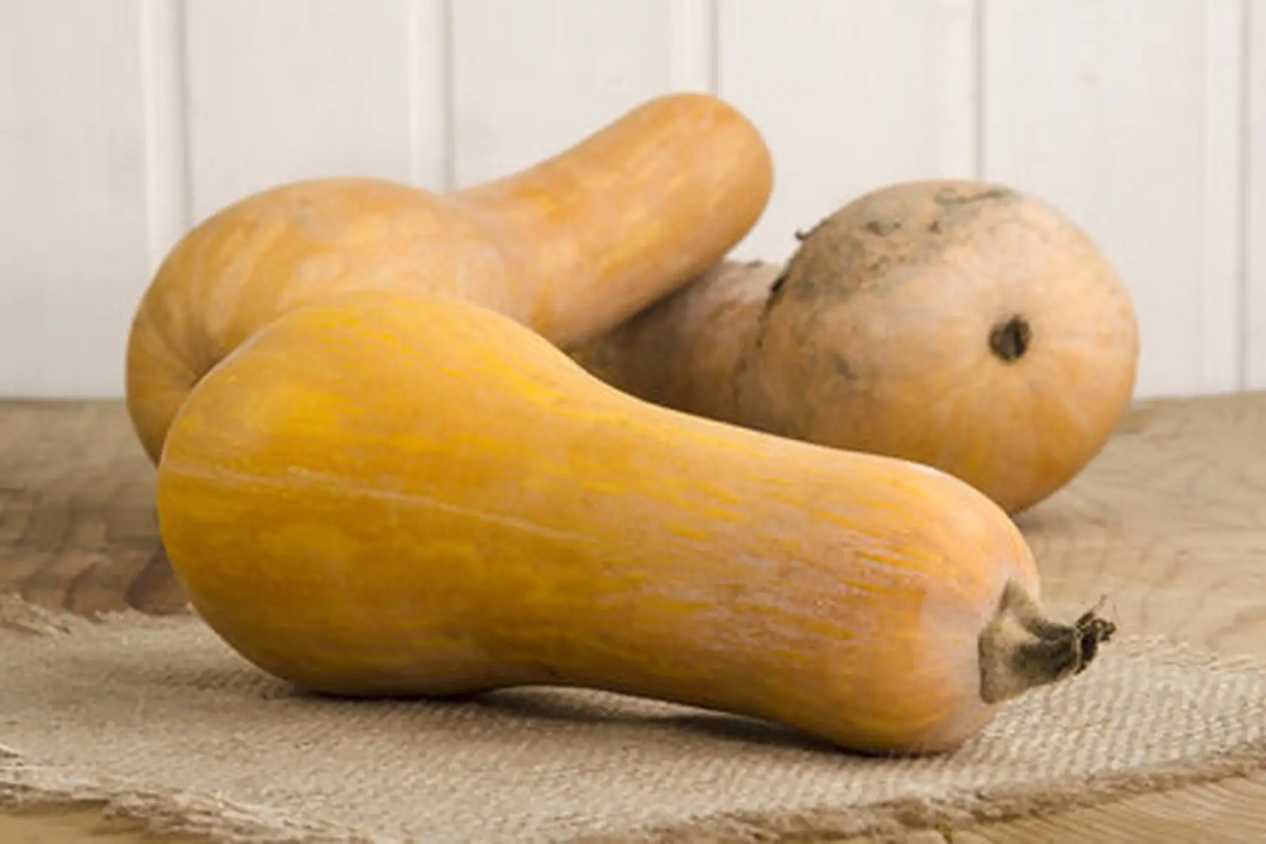 courge butternut