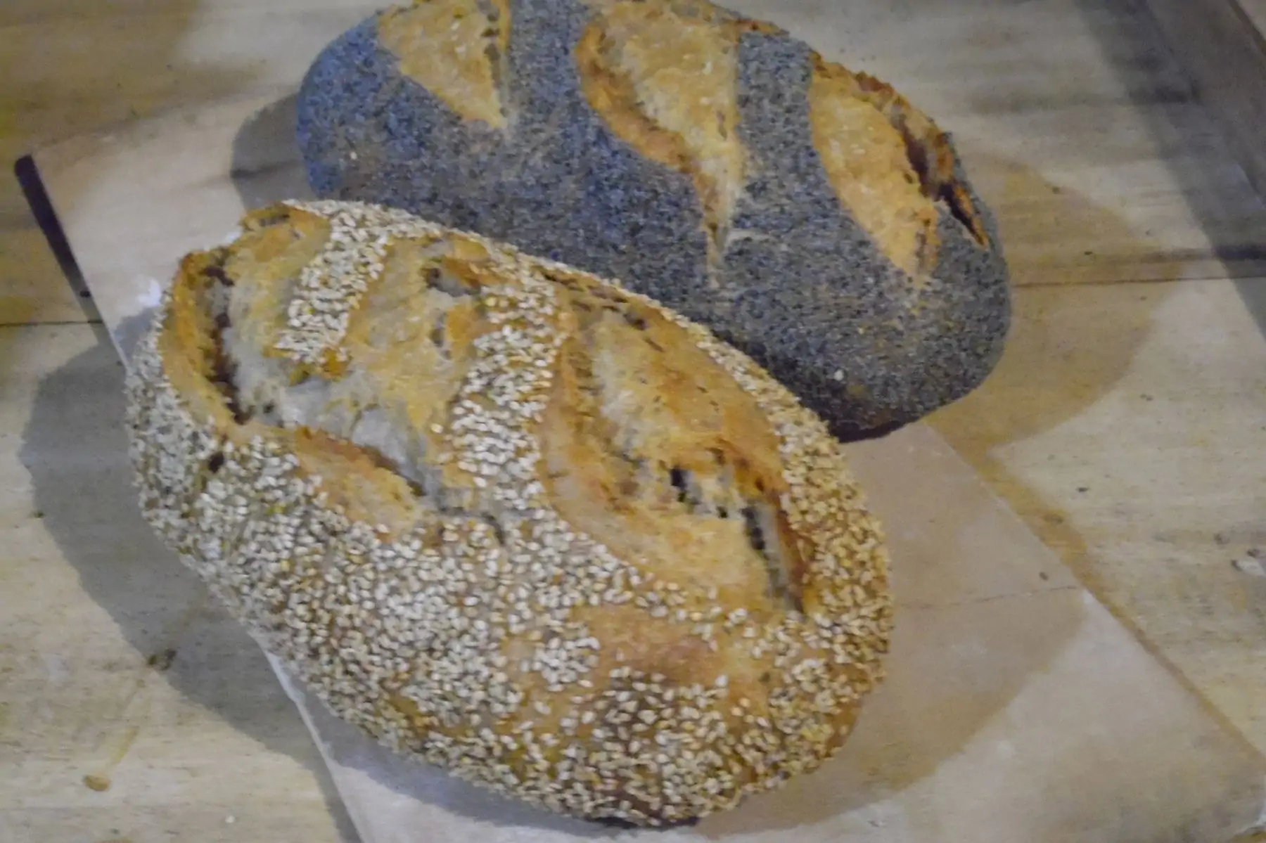 pain sésame ou pavot