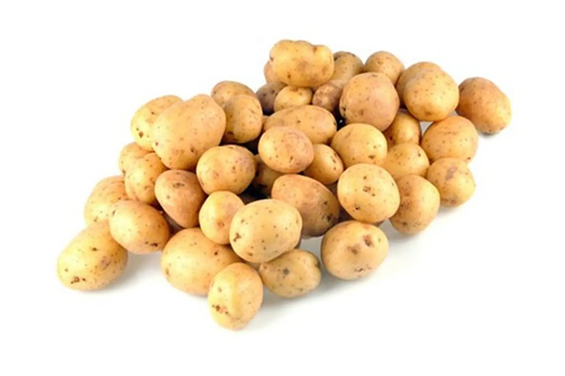 pomme de terre grenaille (allians)