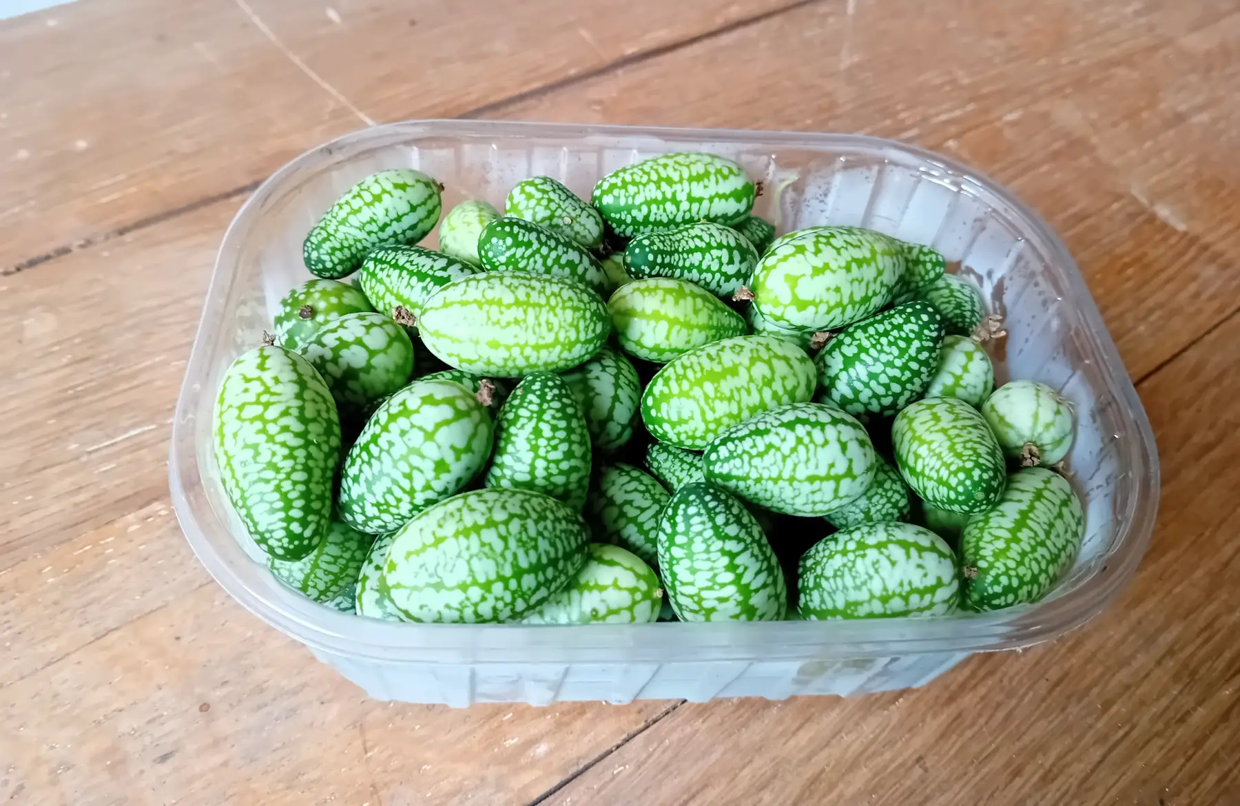 mini concombre apéro