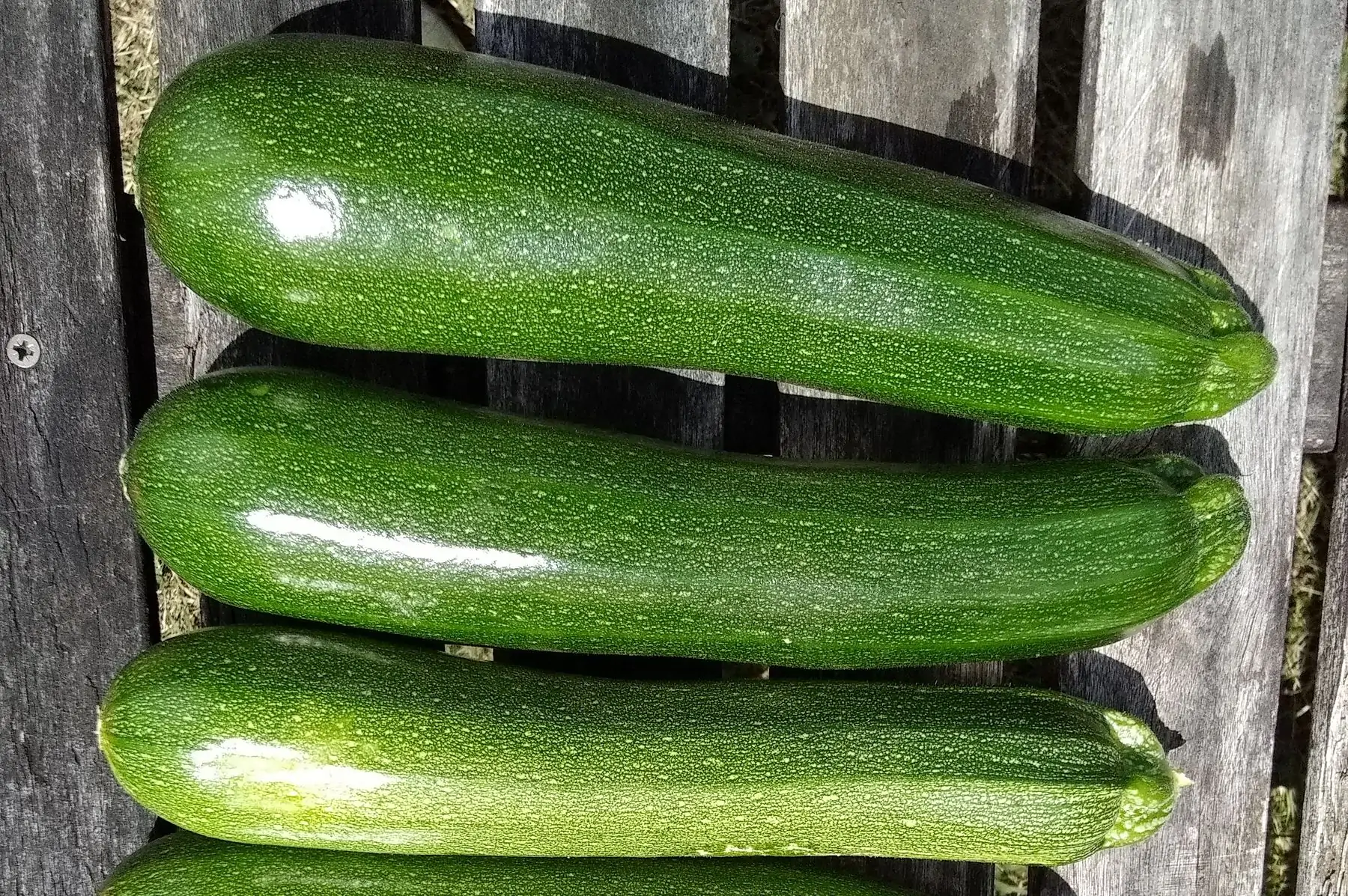 courgettes