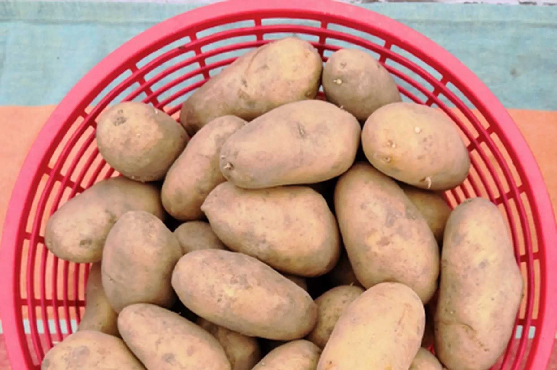 lot de 3 kg de pommes de terre