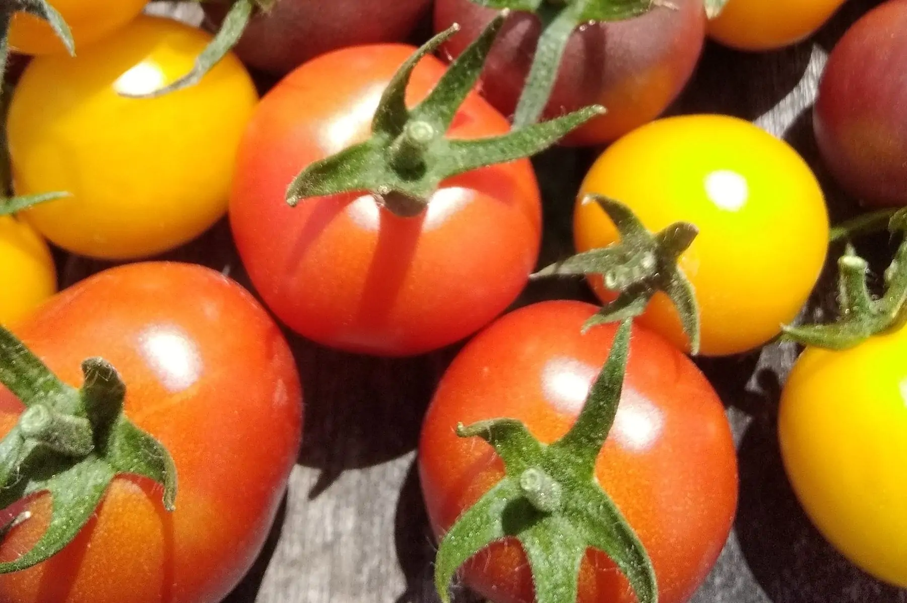 tomates cerises barquette de 250g