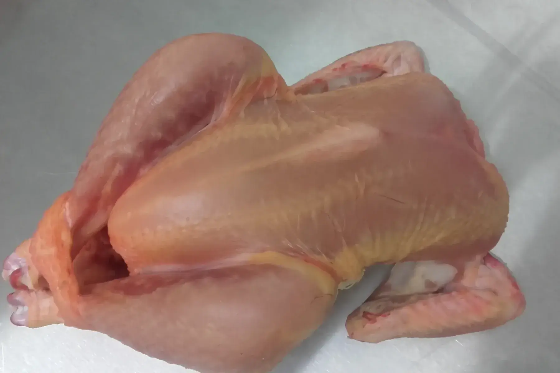 poulet fermier bio