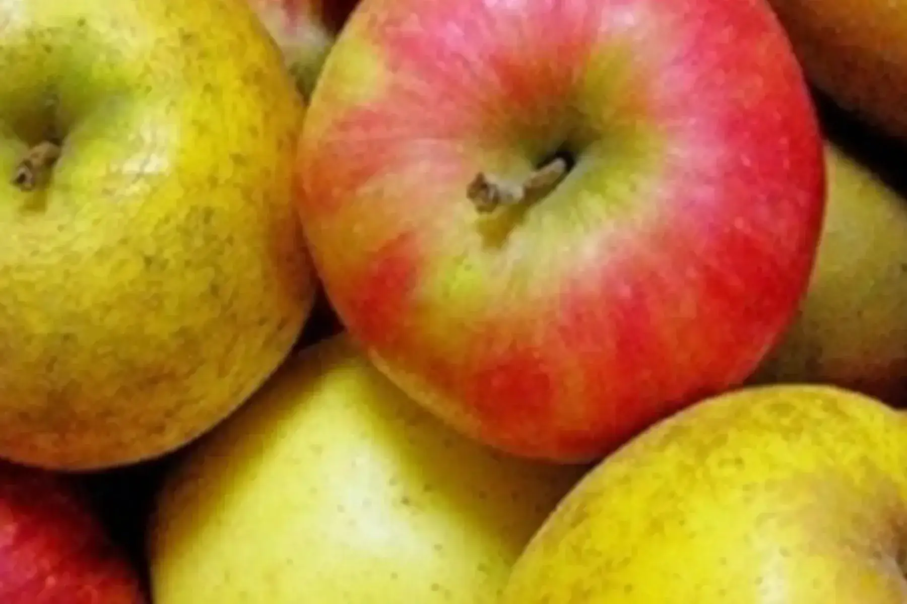 plateau de pommes bio mélangées - plateau de 5 kgs