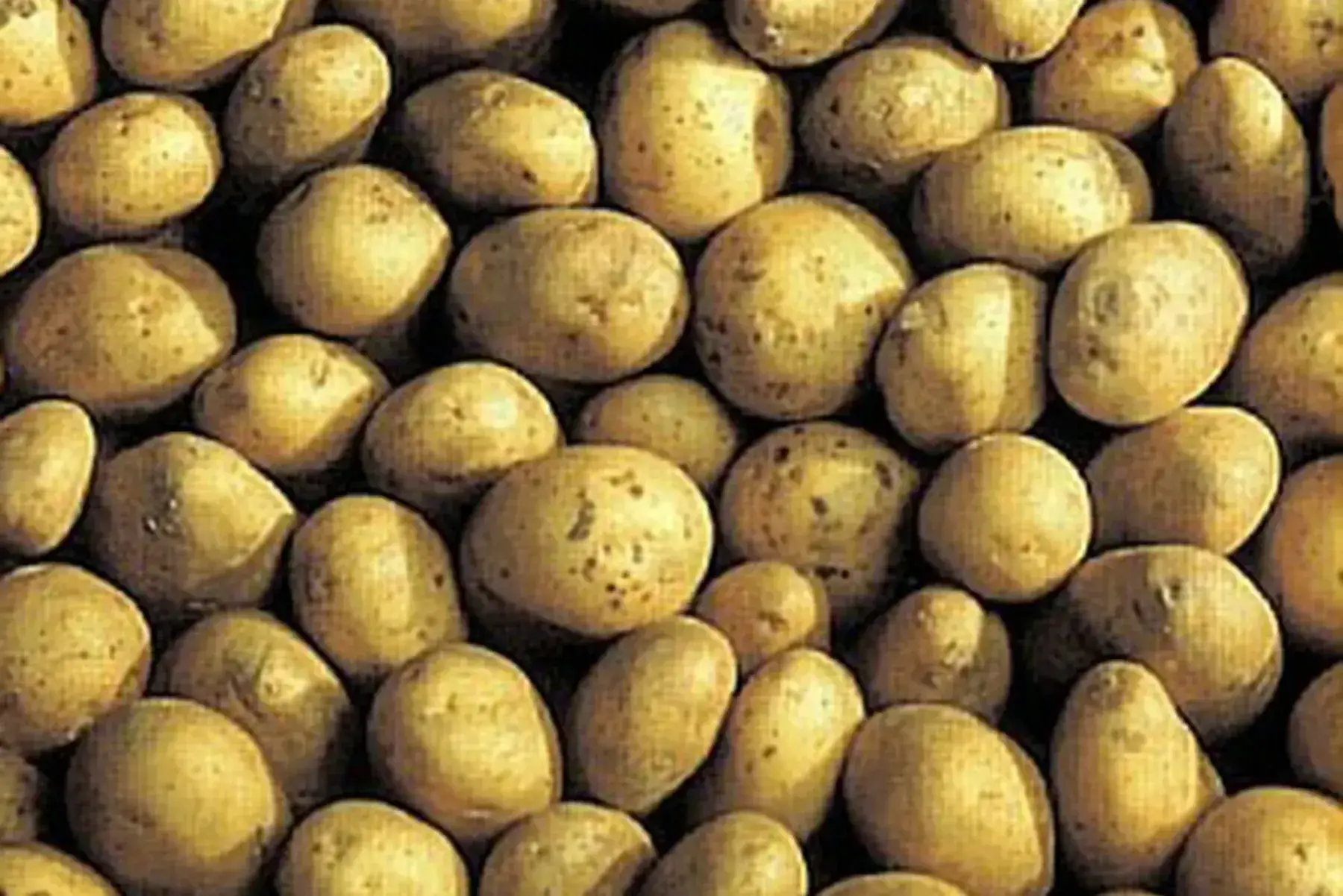 GAEC des Deux Saints