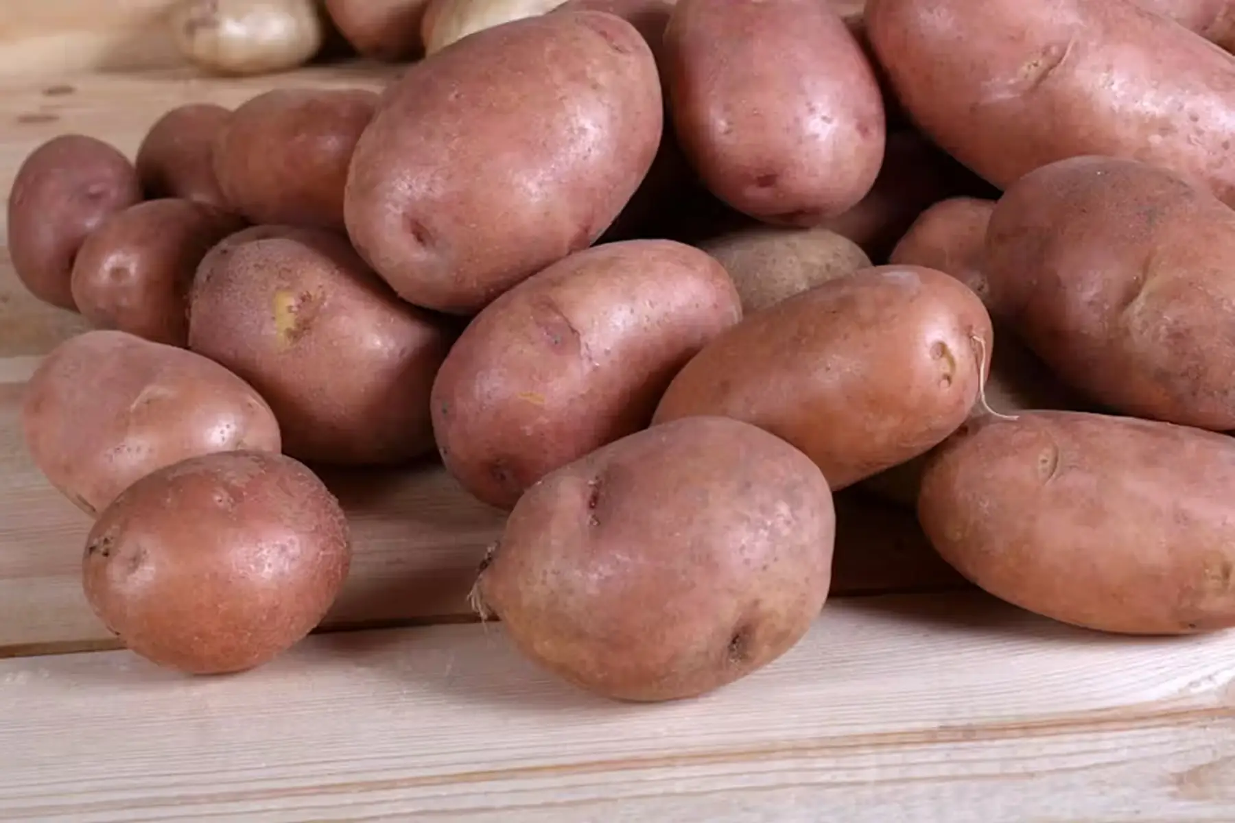 ROSABELLE (pomme de terre )