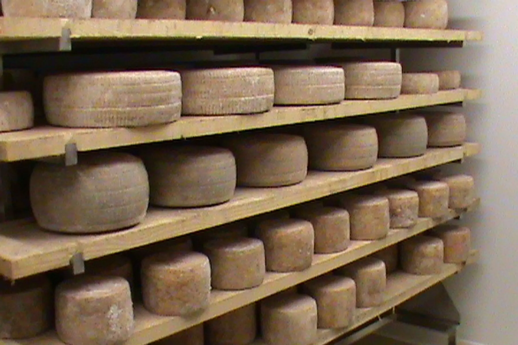 tomme d'alban de vache bio