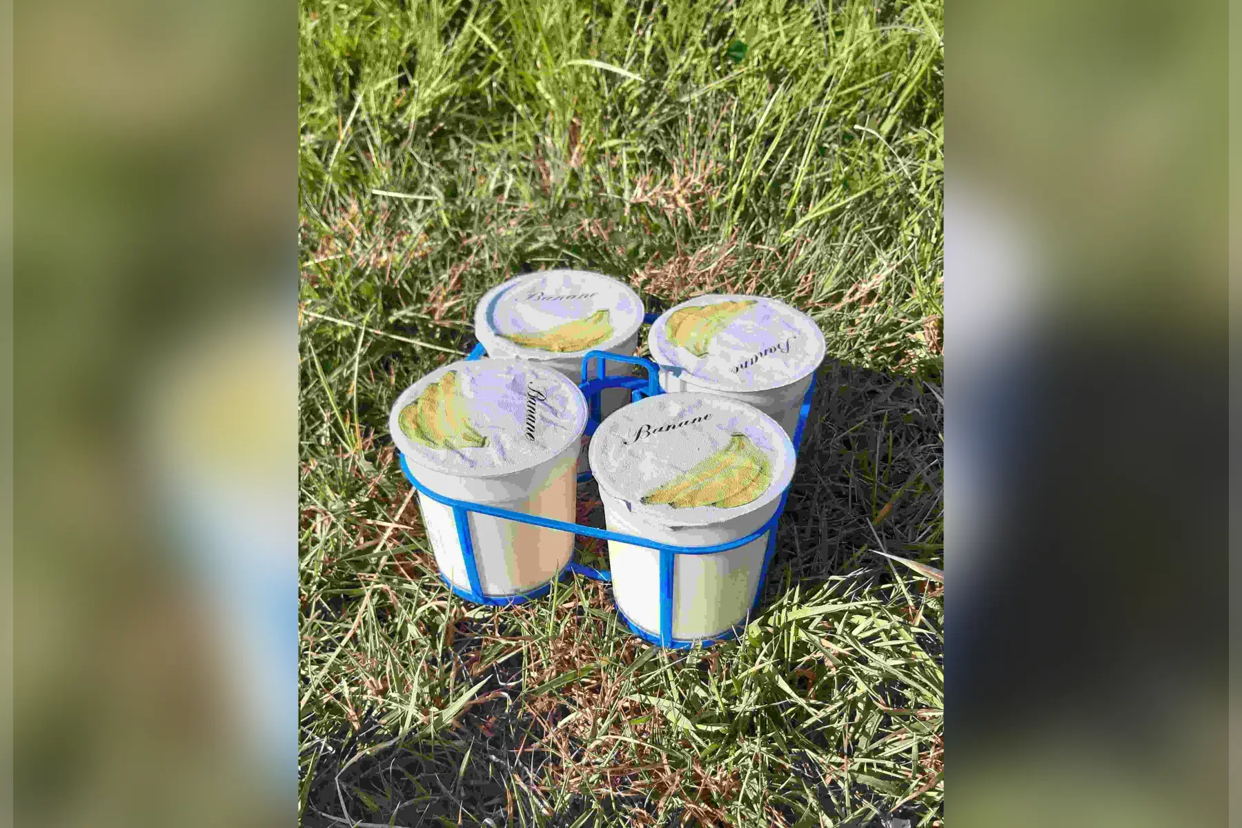 4 yaourts brassés fermier à la banane