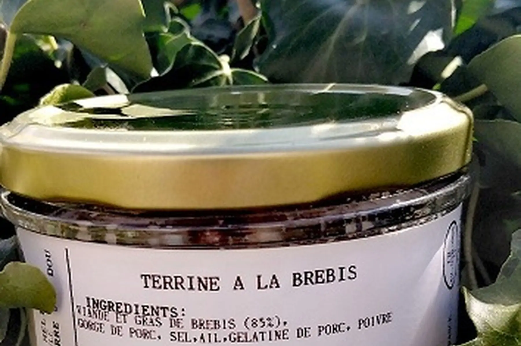 terrine à la brebis